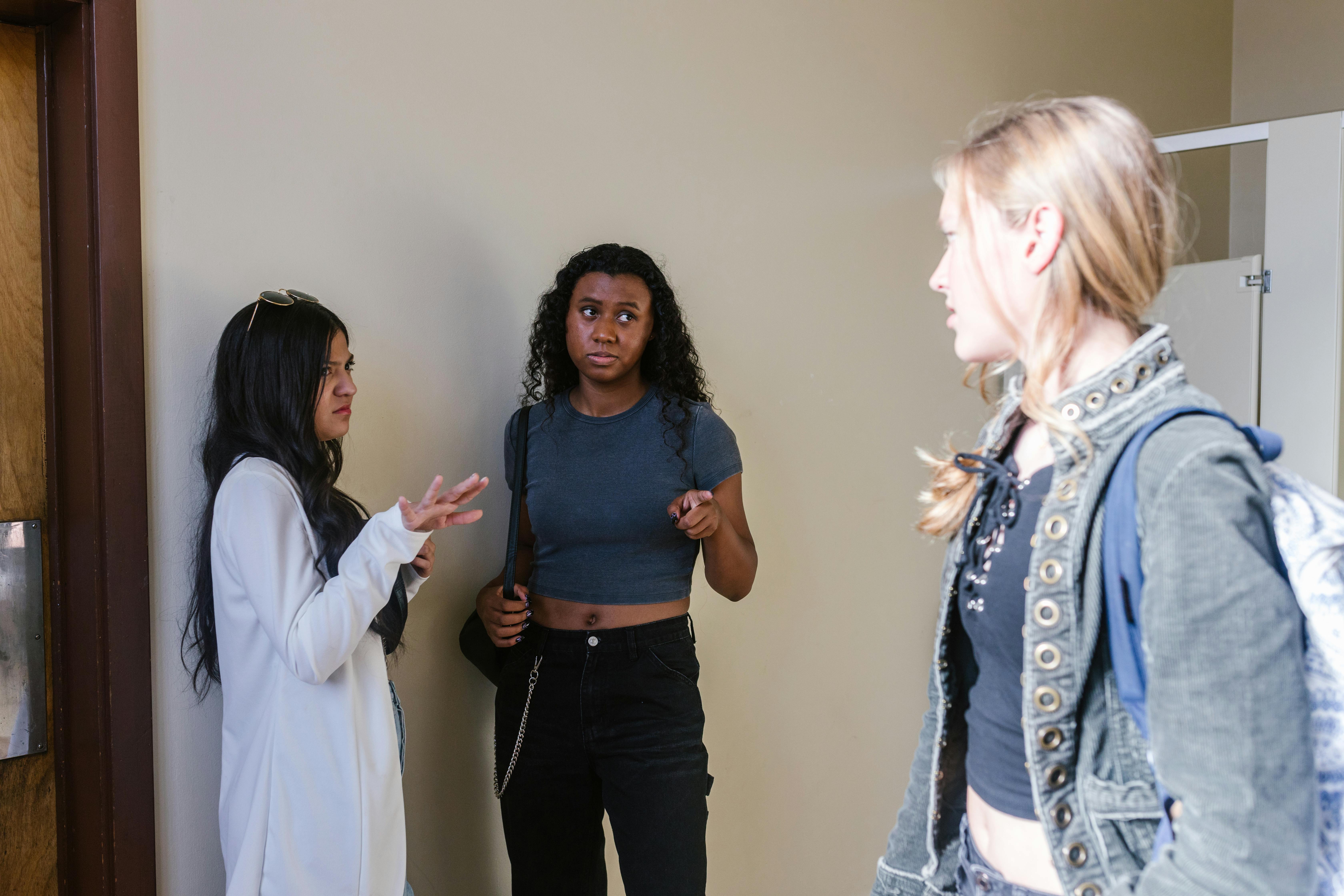 University students collaboration